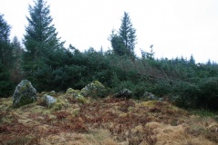 Auchnaha - PID:108210