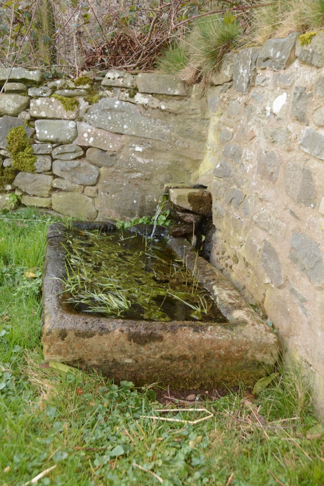 Tamlane's Well (Carterhaugh)