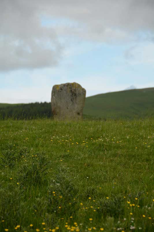Click for full size image of Glebe Stone (PID:133918) Glebe Stone