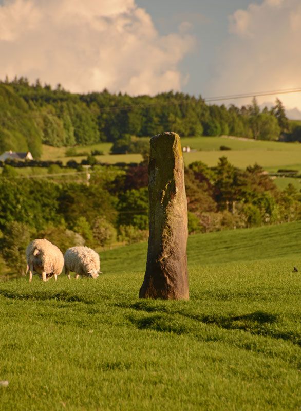 Midshiels Standing Stone (PID:166415) Midshiels Standing Stone