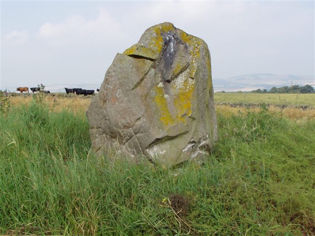 Cow Stone (Scottish Borders)