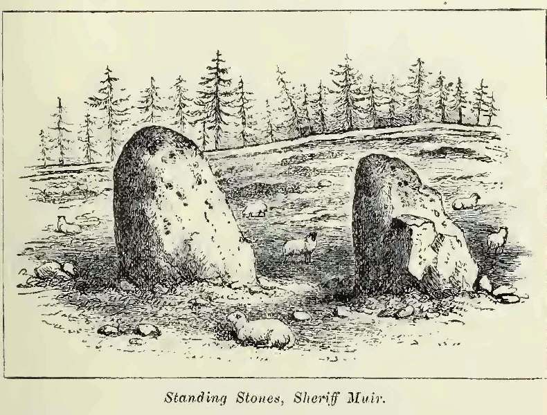Sheriff Muir Standing Stones