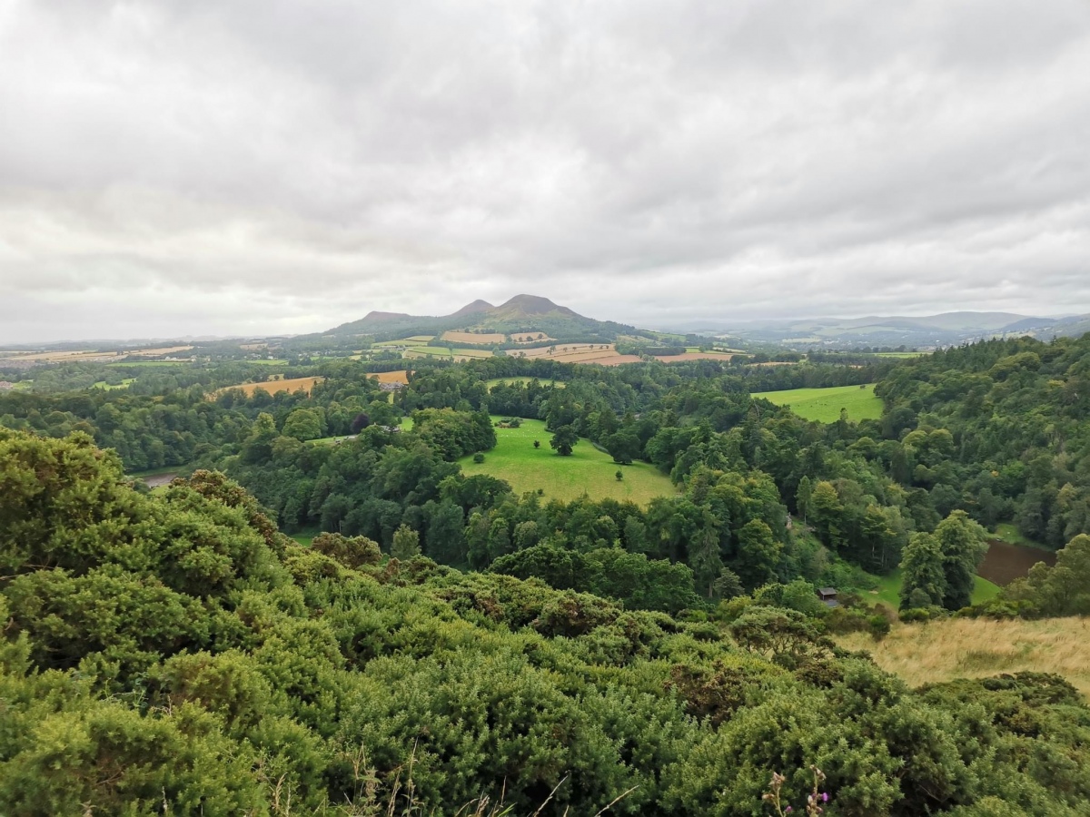 Eildon Hill North