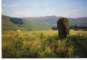 Click for full size image of Glebe Stone (PID:27220) Glebe Stone