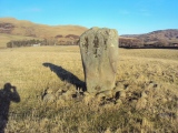 Click for full size image of Glebe Stone (PID:130074) Glebe Stone