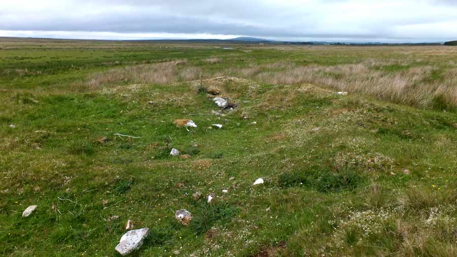 Tulach Beag (PID:229962) Tulach Beag