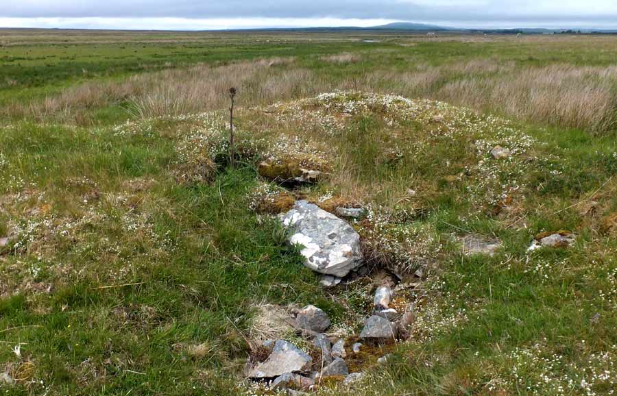 Click for full size image of Tulach Beag (PID:229961) Tulach Beag