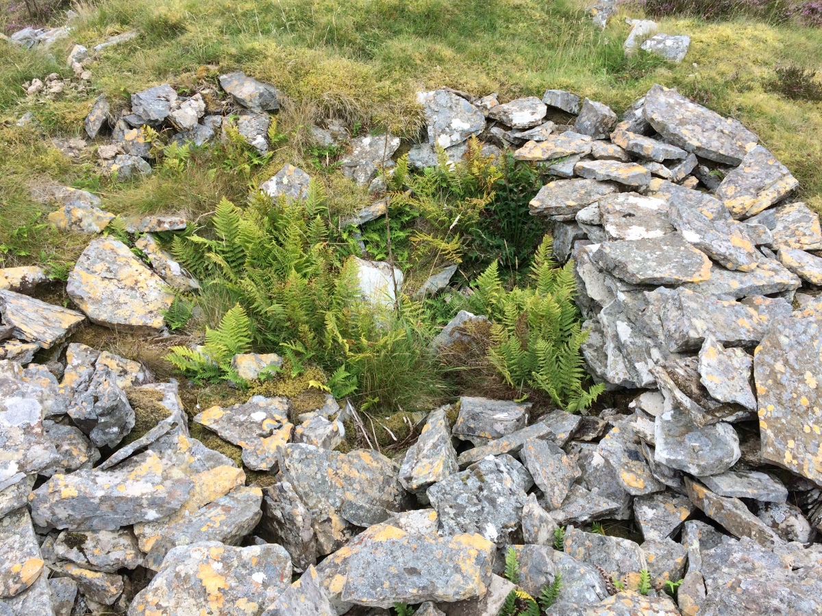 South Yarrows Long Cairn