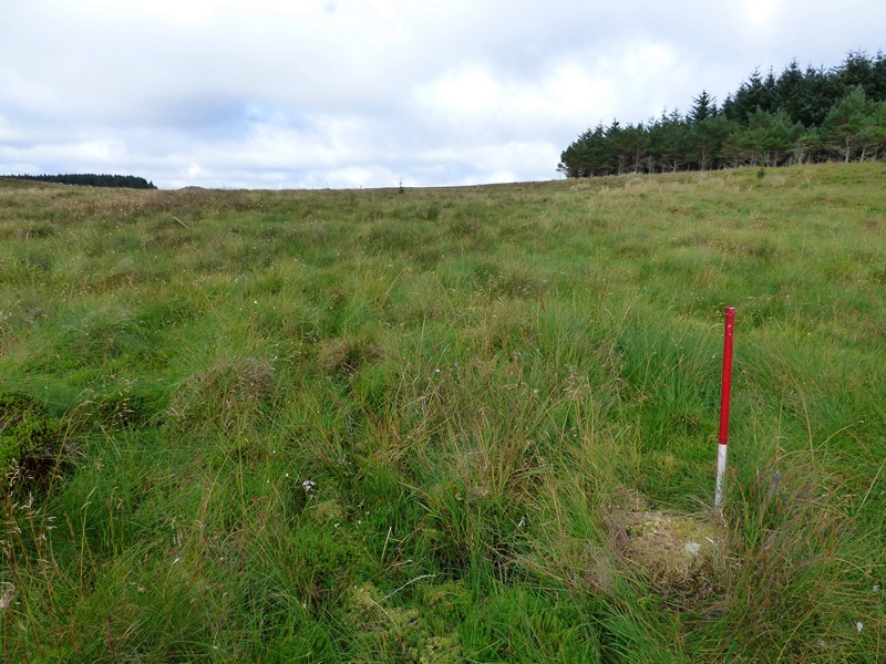 Click for full size image of Camster Stone Rows (PID:162464) Camster Stone Rows