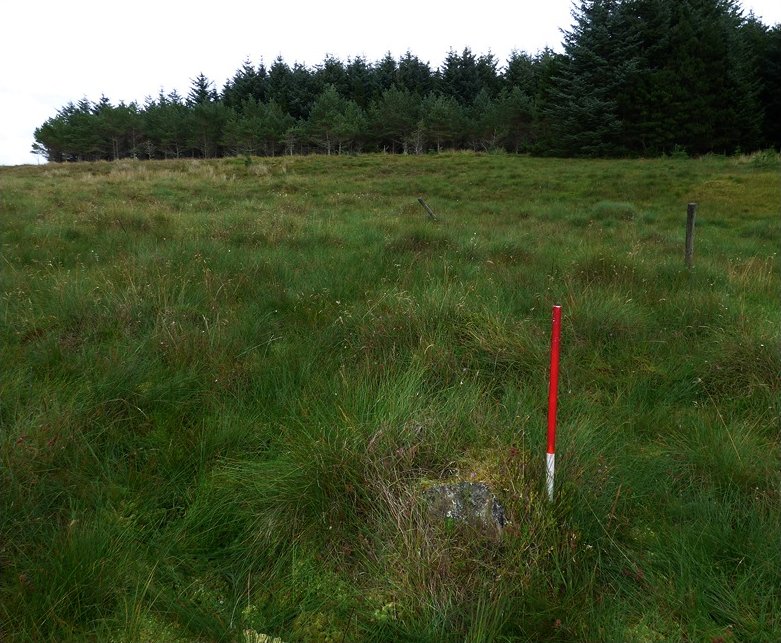 Click for full size image of Camster Stone Rows (PID:162463) Camster Stone Rows