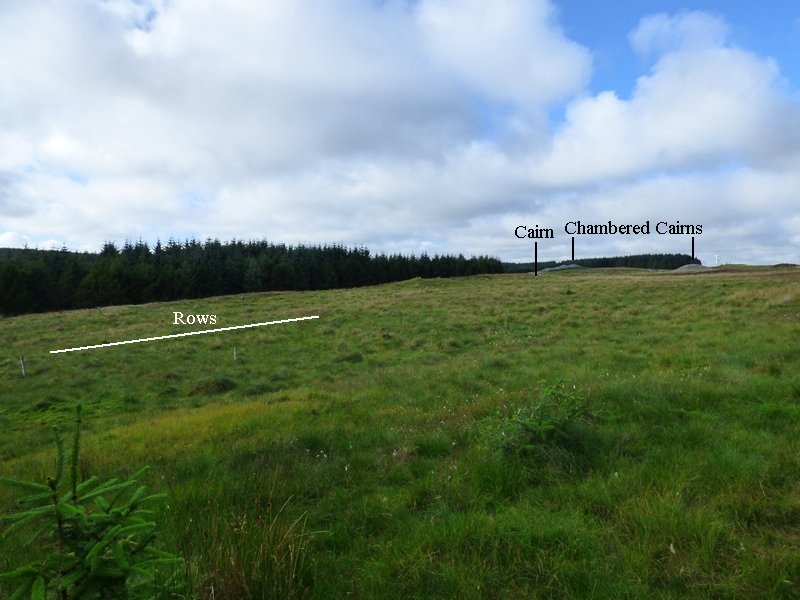 Click for full size image of Camster Stone Rows (PID:162462) Camster Stone Rows