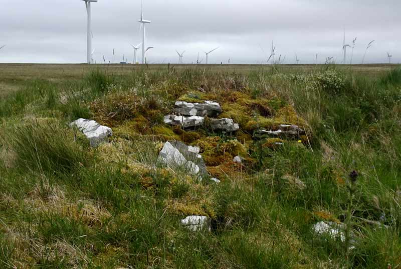 Tulach Mor (PID:229835) Tulach Mor