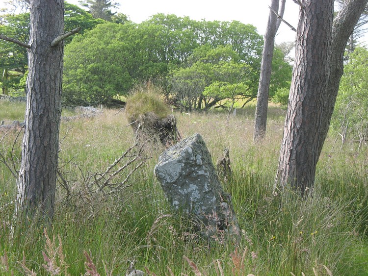 Forse House Standing Stone