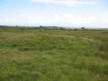 Forse House Chambered Cairns - PID:80510