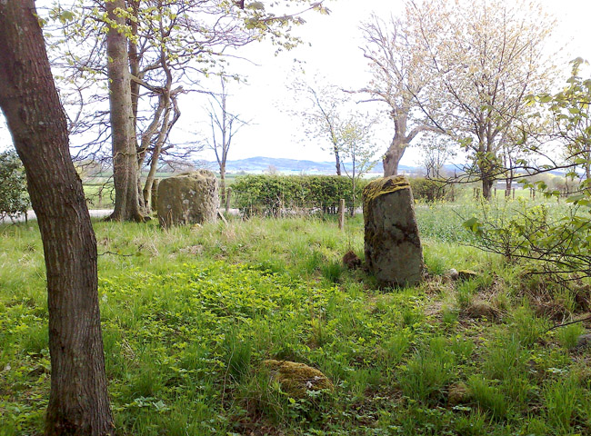 Click for full size image of Craigmakerran (PID:92913) Craigmakerran