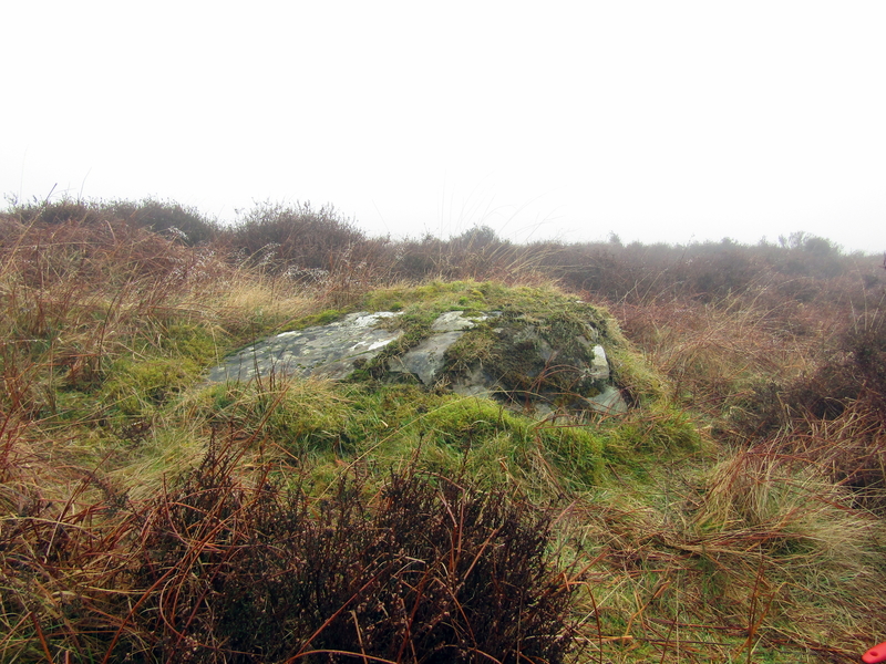 Click for full size image of Cairnharrow Cup & Ring Marked Stone (PID:188492) Cairnharrow Cup & Ring Marked Stone