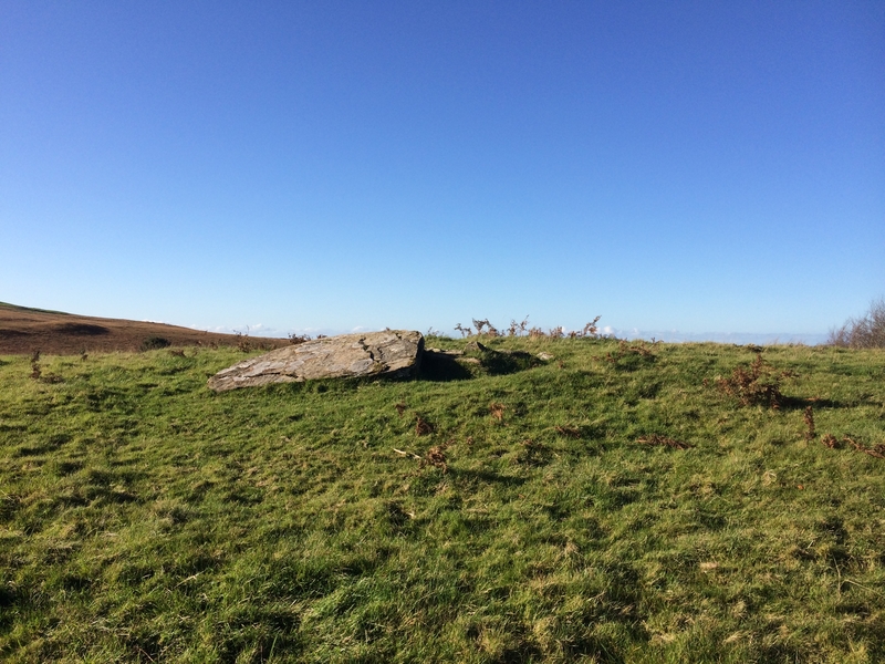 Click for full size image of Glenquicken Cist (PID:188564) Glenquicken Cist