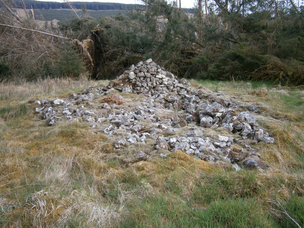 Click for full size image of Brownhill Burn (PID:227819) Brownhill Burn