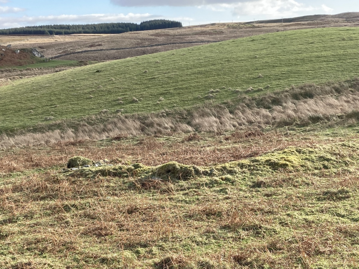 Click for full size image of Cairnerzean Farm SW (PID:237934) Cairnerzean Farm SW