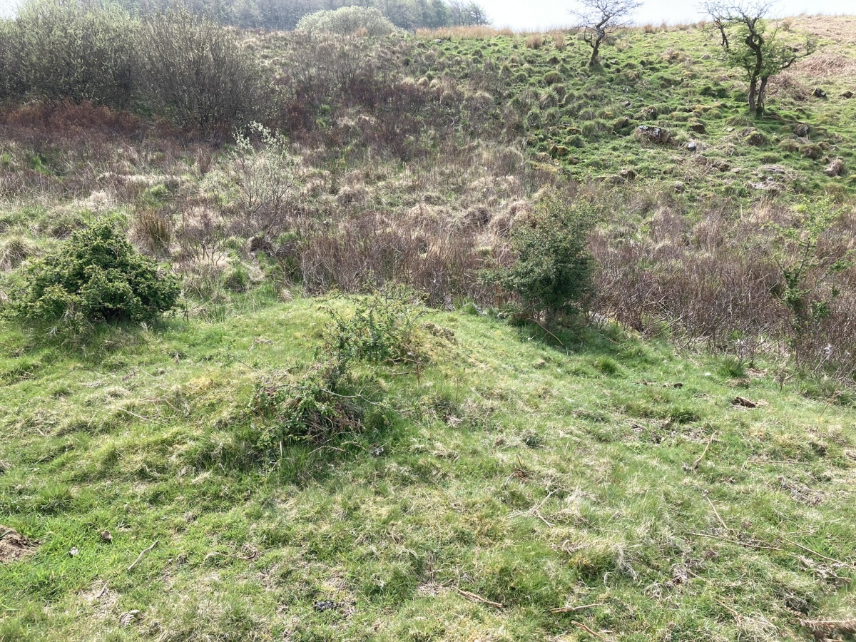 Click for full size image of Fauldinchie E (PID:241235) Fauldinchie E
