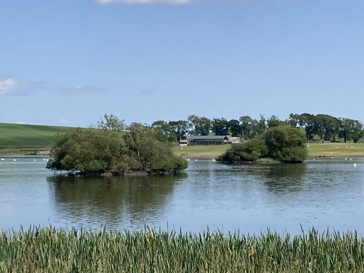 Click for full size image of Milton Loch Central (PID:259790) Milton Loch Central