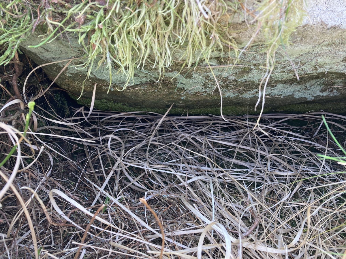 Cambret Moor Cairn