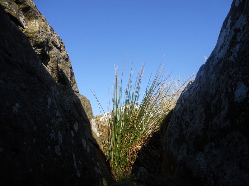 Auld Wife's Grave