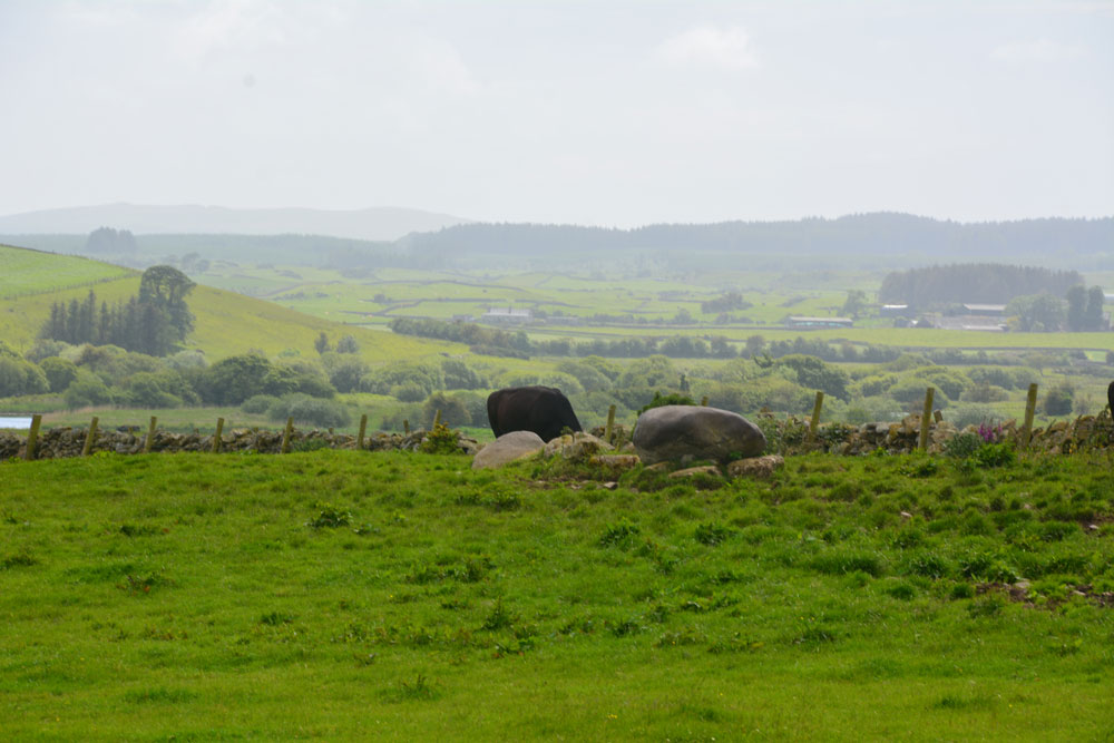 Torhousekie Stones East