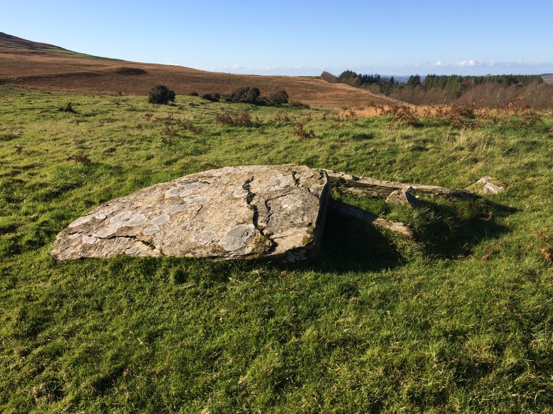 Glenquicken Cist (PID:188565) Glenquicken Cist