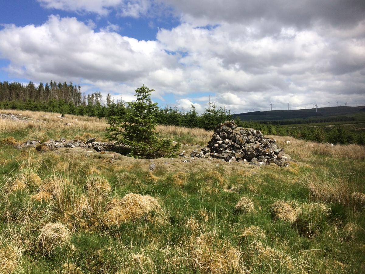 Click for full size image of Brownhill Burn (PID:227935) Brownhill Burn