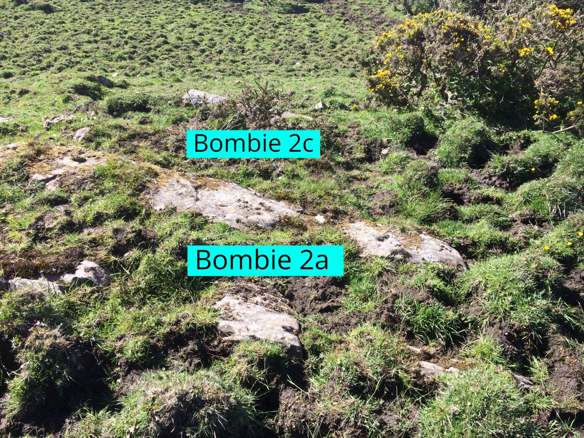 Bombie 2 Cup and Ring Marked Panels as at 24.05.21