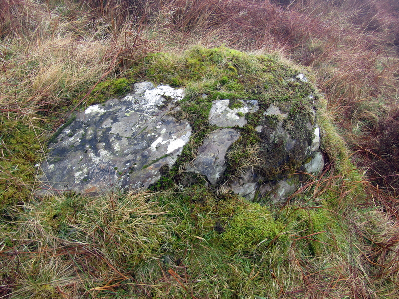 Cairnharrow Cup & Ring Marked Stone