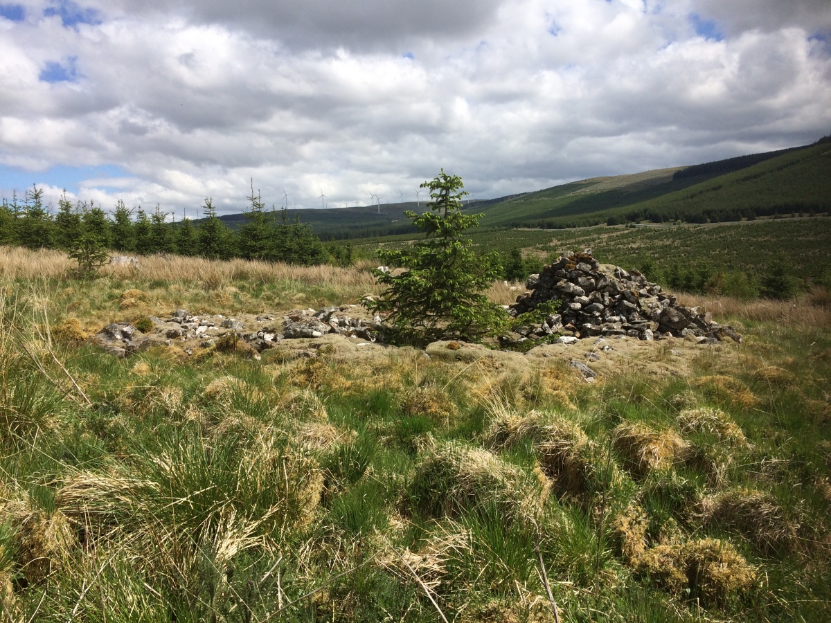 Click for full size image of Brownhill Burn (PID:227934) Brownhill Burn