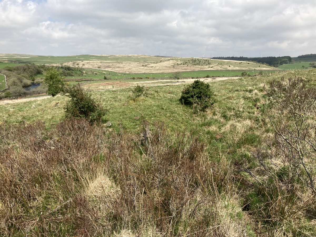 Click for full size image of Fauldinchie E (PID:241237) Fauldinchie E