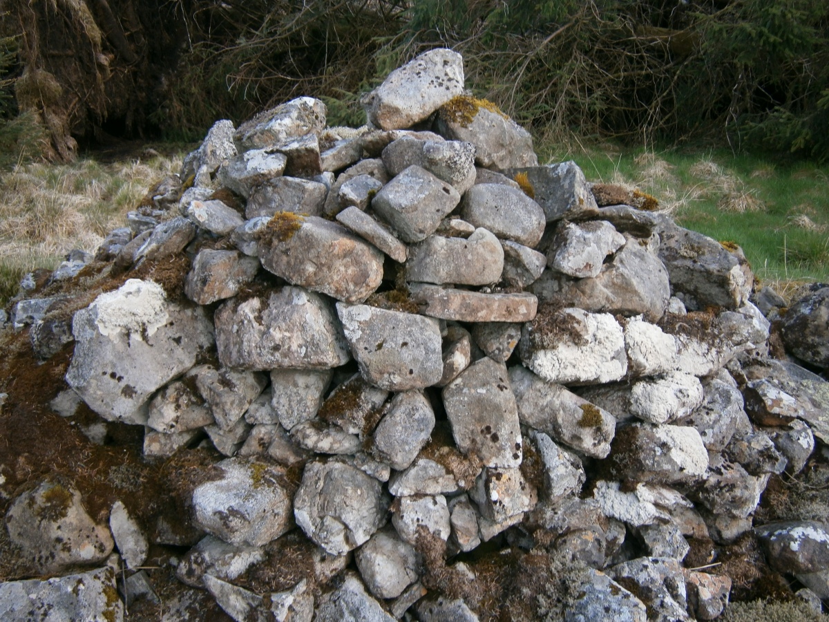 Click for full size image of Brownhill Burn (PID:227821) Brownhill Burn