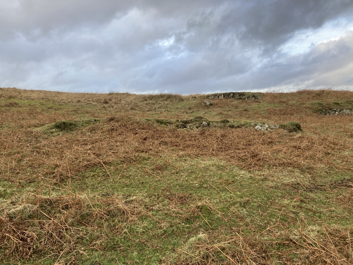 Click for full size image of Cairnerzean Farm SW (PID:237746) Cairnerzean Farm SW