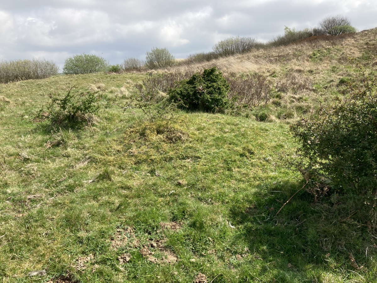 Click for full size image of Fauldinchie E (PID:241238) Fauldinchie E