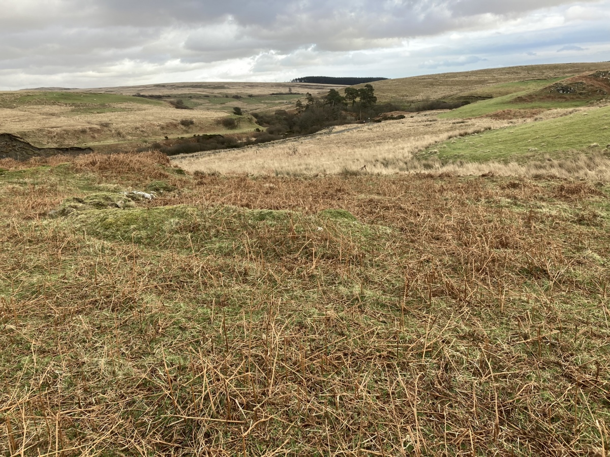 Click for full size image of Cairnerzean Farm SW (PID:237747) Cairnerzean Farm SW