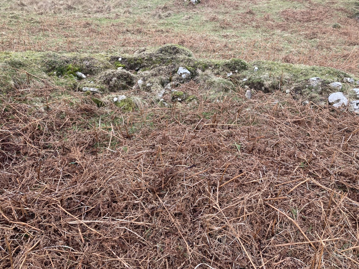 Click for full size image of Cairnerzean Farm SW (PID:237748) Cairnerzean Farm SW