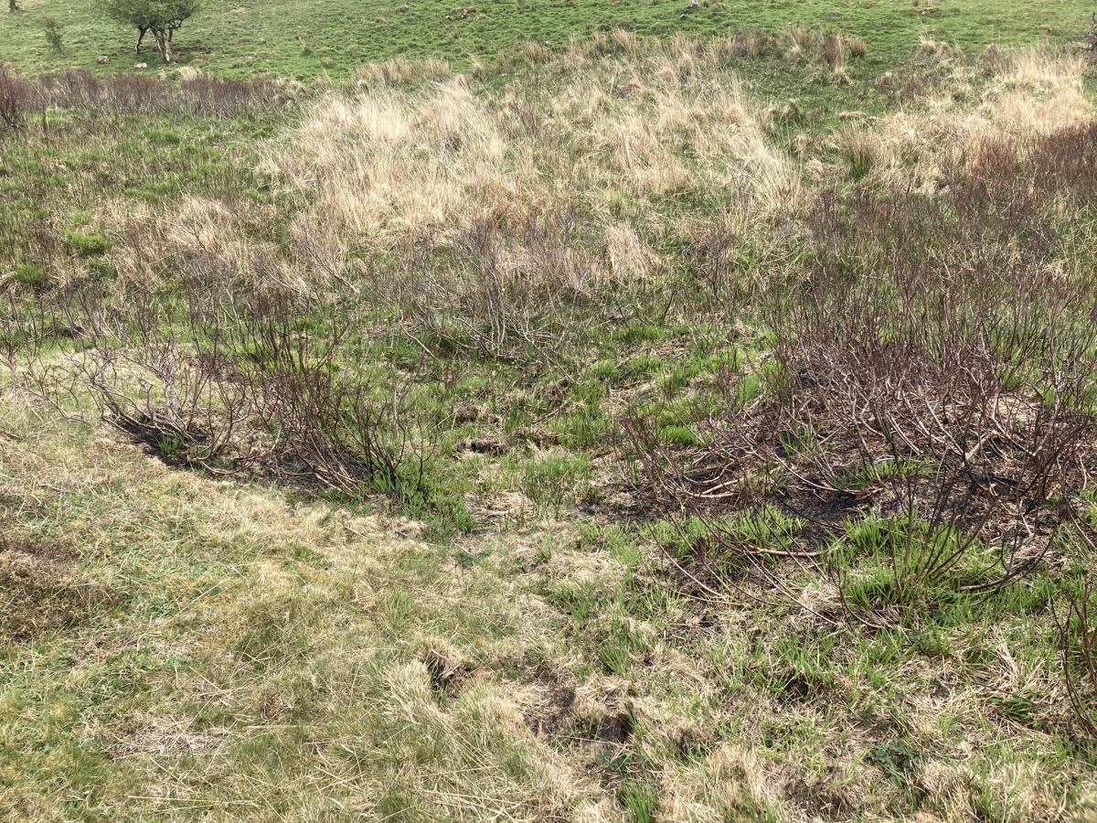 Click for full size image of Fauldinchie W (PID:241232) Fauldinchie W