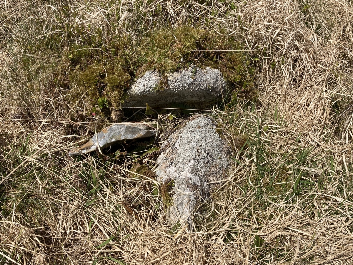 Click for full size image of Cambret Moor Cairn (PID:240635) Cambret Moor Cairn