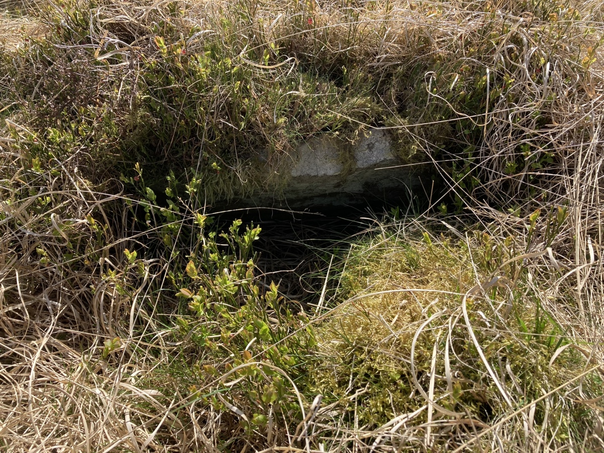 Cambret Moor Cairn