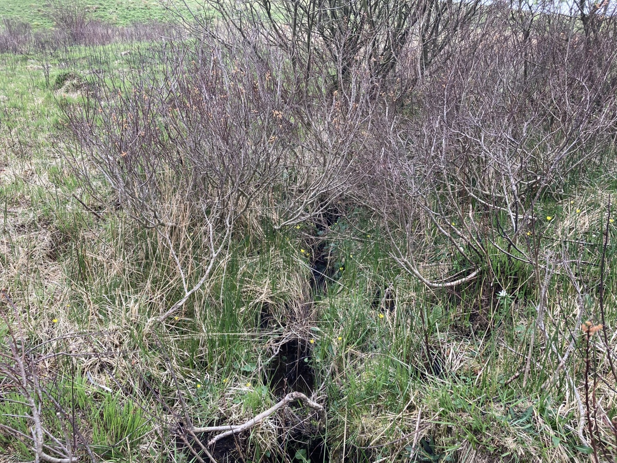 Click for full size image of Fauldinchie W (PID:241234) Fauldinchie W