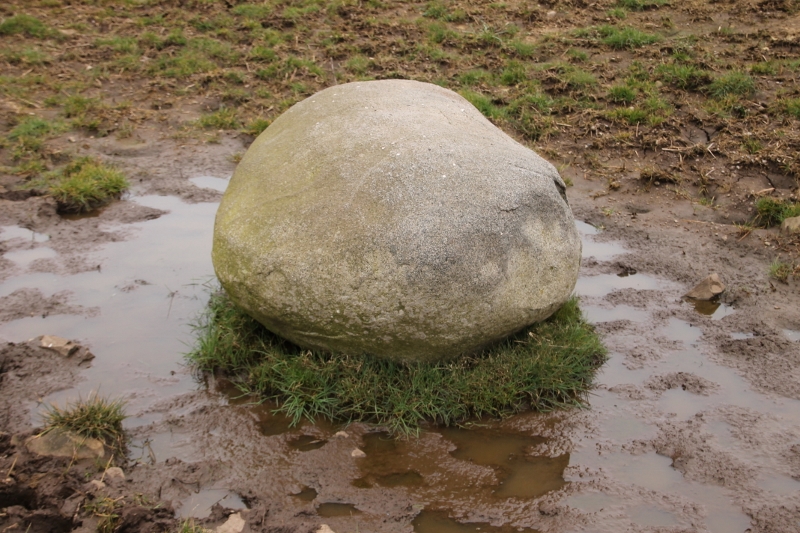 Don't ask how I know that if you're about 6ft tall and you stand on top of the stone, you can see the Torhouse(kie) stone circle. But you can. 

The stone seems to have no man-made markings.