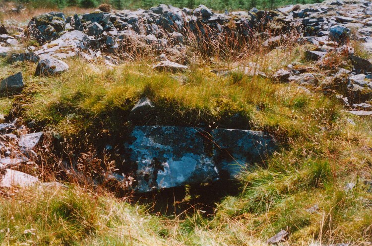 Click for full size image of Kirriemore (PID:12699) Kirriemore