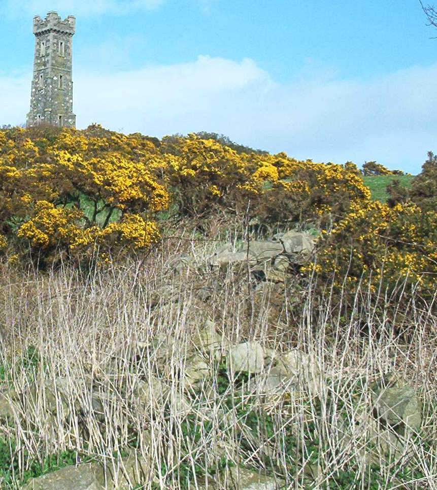 Tor of Craigoch Iron Age hillfort