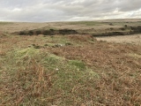 Click for full size image of Cairnerzean Farm SW (PID:237743) Cairnerzean Farm SW
