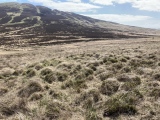 Click for full size image of Cambret Moor Cairn (PID:240624) Cambret Moor Cairn
