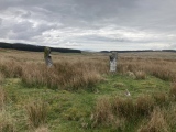 Click for full size image of The Thieves (PID:241156) The Thieves