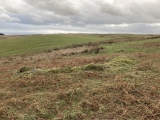 Click for full size image of Cairnerzean Farm SW (PID:237744) Cairnerzean Farm SW